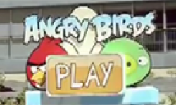 angry birds grandeur nature barcelone play vignette icone head