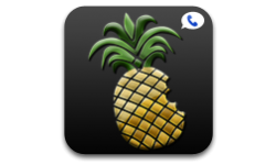 dev team google voice
