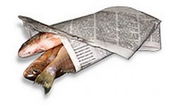 fish.