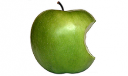 insolite fan fete victoire apple contre samsung avec gateau