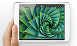 ipad mini vignette head