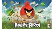 jaquette : Angry Birds