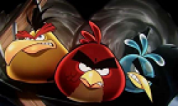 vignette head angry birds film 16052013