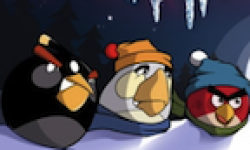 Vignette Icone Head Angry Birds Seasons 01122010