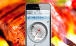 Vignette Icone Head iGrill Barbecue 31012011