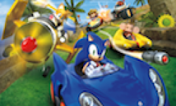 Vignette Icone Head sonic sega all stars racing 144x82 01032011