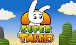 Vignette Icone Head Super Twario 25112010