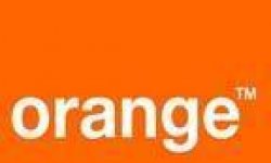 vignette logo orange