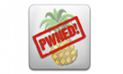 vignette pwnage tool pwned