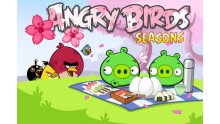 angry-birds-seasons-mise-a-jour-sakura-2