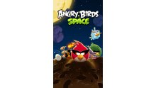 angry-birds-space-1