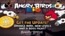 angry birds vignette