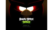 Angry brids space  1