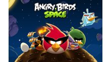 Angry Brids space 1