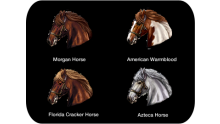 chevaux-six-guns-gameloft-iphone-ipad-ipod-touch-ios-01