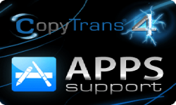 copytransvignette copytransvignette